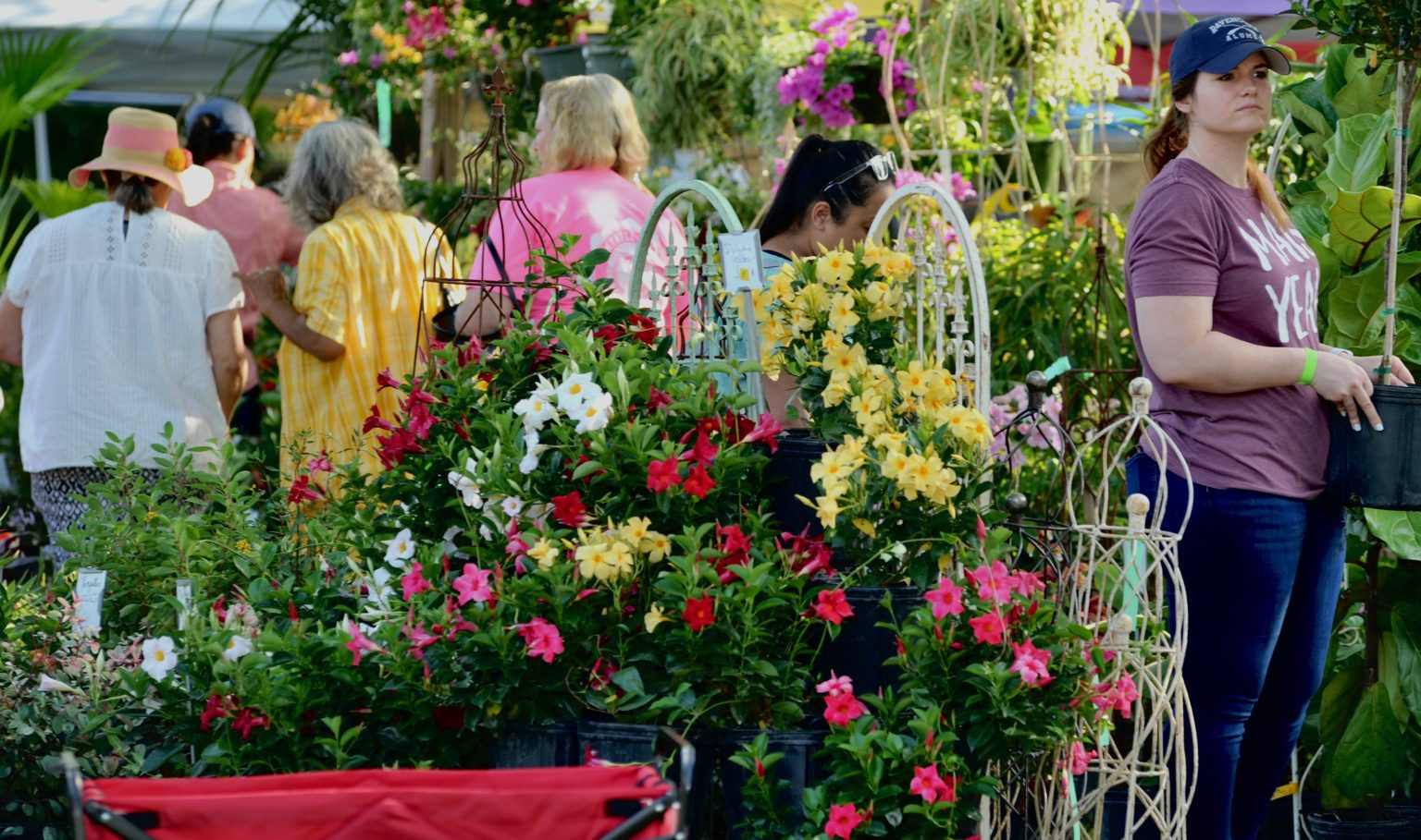 Sunset Herb and Garden Fest Photo Gallery » St. Landry Now Online